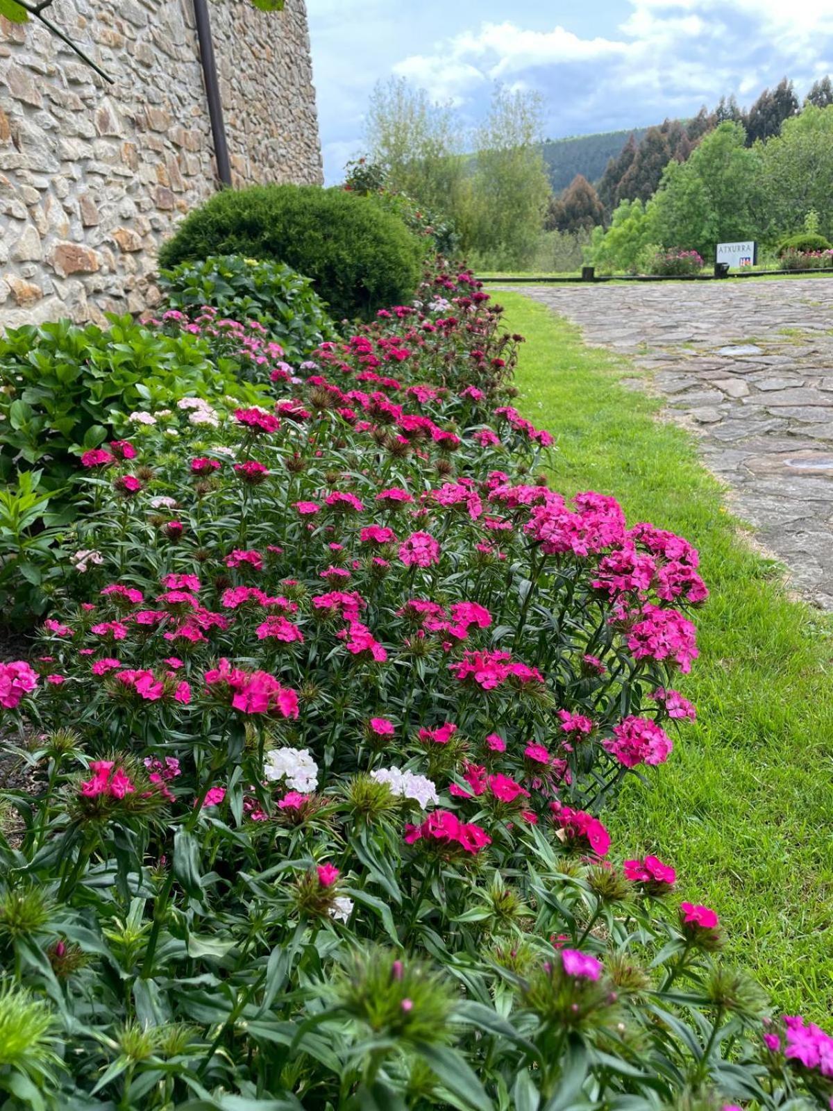Hotel-Apartamento Rural Atxurra Bermeo Exterior foto